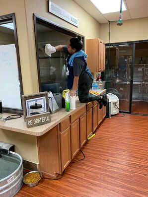 Office Cleaning Services (Dust from overhead was removed to look like new), in Dallas, TX (3)