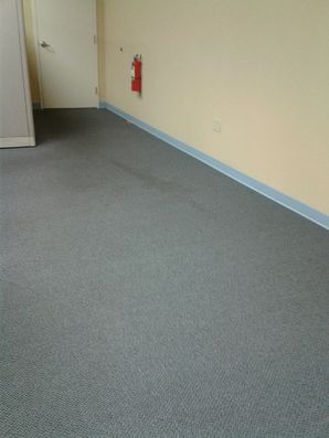 Before & After Carpet Cleaning in Plano, TX (1)